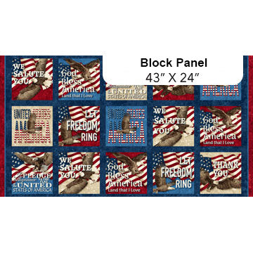 Northcott Stars & Stripes 12 -  27011 49 Patriotic Blocks Navy Multi 24" PANEL By The PANEL (not strictly by the yard)