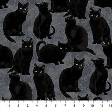 Northcott Hallow's Eve 27087 98 Black Cats Grey Black  By The Yard