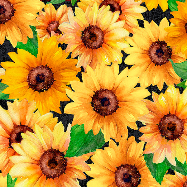 Wilmington Sunshine Whispers EXTRA WIDE 9052 952 Black Packed Sunflowers 108" WIDE - 2.625 YARD CUT