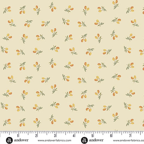Andover Laundry Line 10096 Y Cream Peachy By The Yard