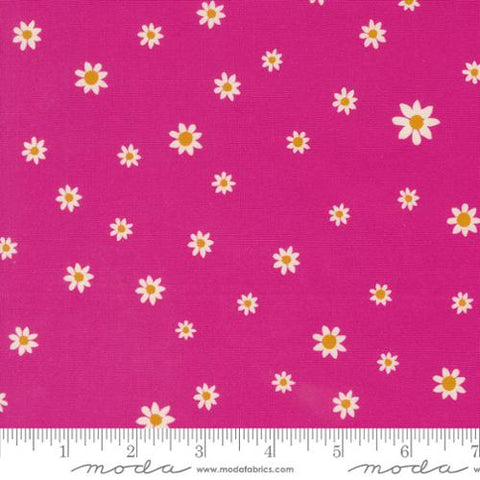 Moda - Maeve 11938 20 Daisy Dot Poppy By The Yard