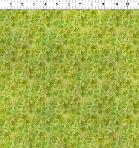 In The Beginning Blooming Day & Night 11BDN 1 Green Leaves By The Yard