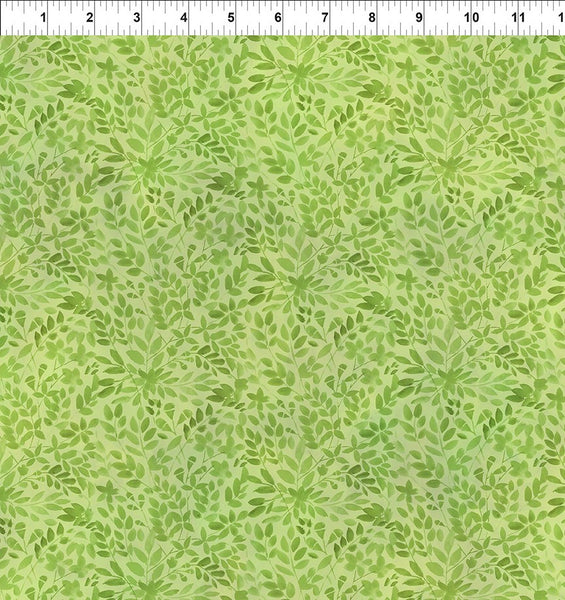 In The Beginning Blooming Day & Night 12BDN 1 Green Branches By The Yard