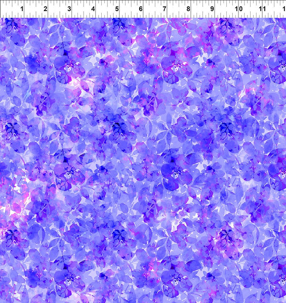 In The Beginning Blooming Day & Night 16BDN 1 Purple Shadows By The Yard