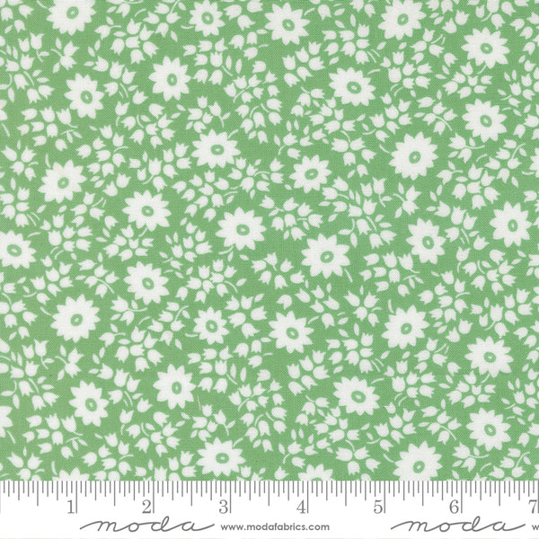 Moda 30's Playtime 2025 23372 16 Aloe Perky Posies By The Yard