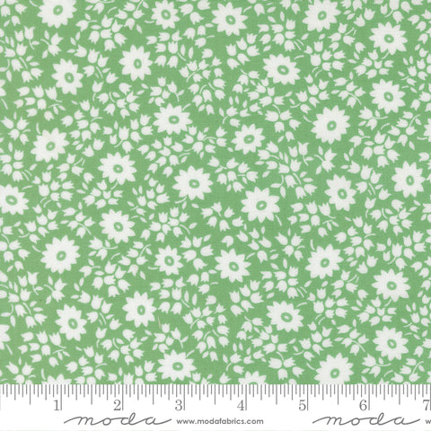 Moda 30's Playtime 2025 23372 16 Aloe Perky Posies By The Yard