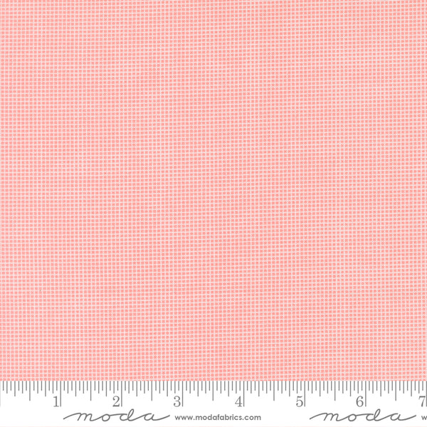 Moda 30's Playtime 2025 23377 13 Petal Screen Door By The Yard