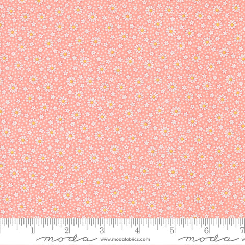 Moda 30's Playtime 2025 23379 13 Petal Daisy Dots By The Yard