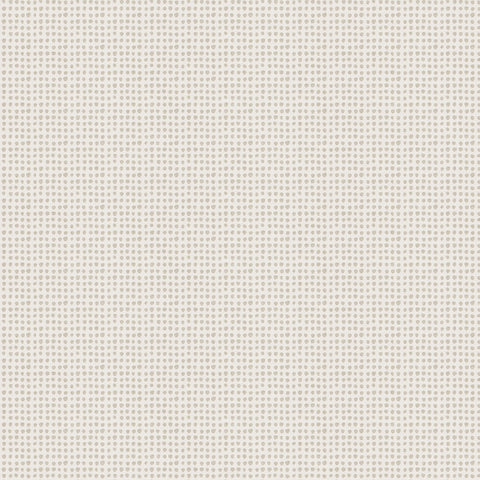 Northcott Modern Elements 28177 14 Taupe Dots By The Yard