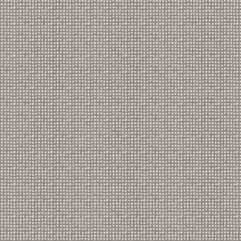 Northcott Modern Elements 28177 96 Charcoal Dots By The Yard