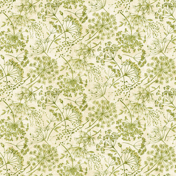 Northcott Stonehenge Organics 29309 72 Cream/Green Queen Anne's Lace By The Yard