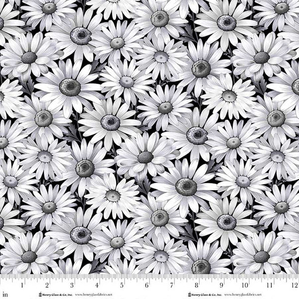 Henry Glass & Co. Scarlet's Treasure 3641 99 Black Daisies By The Yard