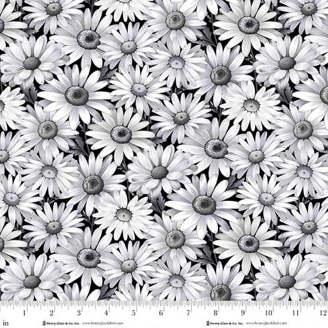 Henry Glass & Co. Scarlet's Treasure 3641 99 Black Daisies By The Yard