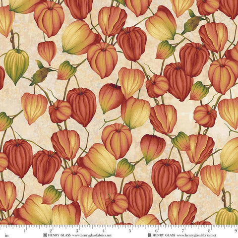 Henry Glass & Co. Oak & Berries 3650 44 Cream Multi Chinese Lanterns By The Yard