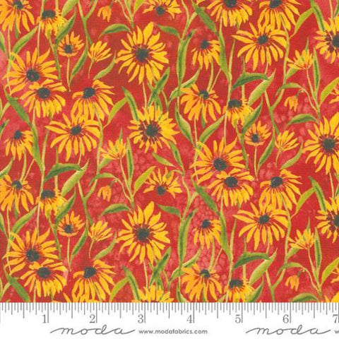 Moda - Floribunda 39805 14 Spice By The Yard