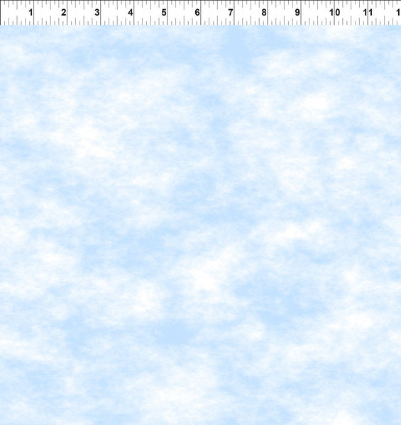 In The Beginning Blooming Day & Night 3BDN 1 Blue Sky By The Yard