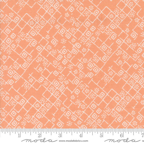 Moda Foraged Found & Hand Me Down 45635 19 Peach Factured Weave By The Yard