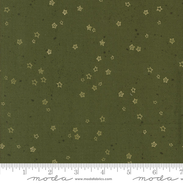 Moda Foraged Found & Hand Me Down 45637 22 Pine Stardust By The Yard