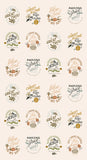 Moda Pre-Cut 32 Piece Fat Quarter Bundle With Two 24" PANELS - Wellspring