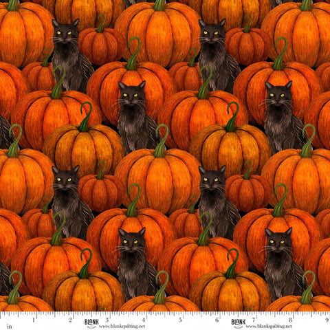 Blank Quilting Harvest Haunt 4813 33 Orange Pumpkins & Black Cats By The Yard