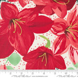 MOD FLOWER BOX Video Bundle - Featuring Moda's Winterly Prints from Robin Pickens