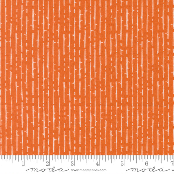 Moda Coven 48806 13 Pumpkin Spice Thorny Stripes By The Yard