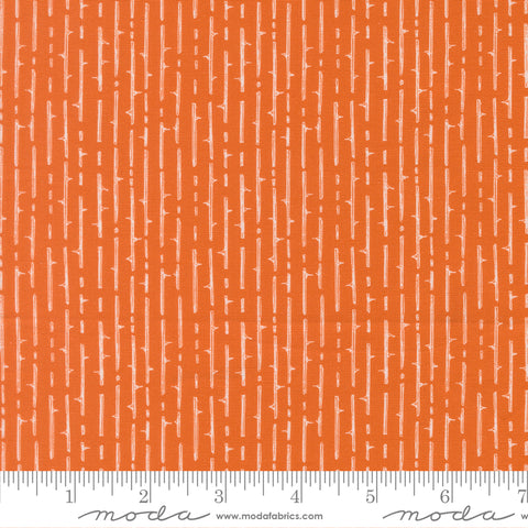 Moda Coven 48806 13 Pumpkin Spice Thorny Stripes By The Yard
