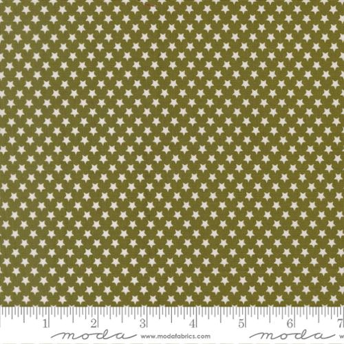 Moda Chilly 55714 23 Pine Star Bright By The Yard