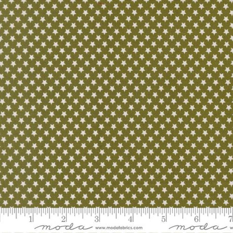Moda Chilly 55714 23 Pine Star Bright By The Yard