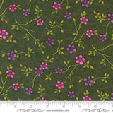 APPLE JACK Video Bundle - Featuring Moda's In Bloom Fabric