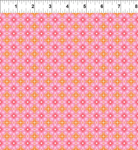 In The Beginning Dragon Friends 6DF 1 Pink Geo 1 By The Yard