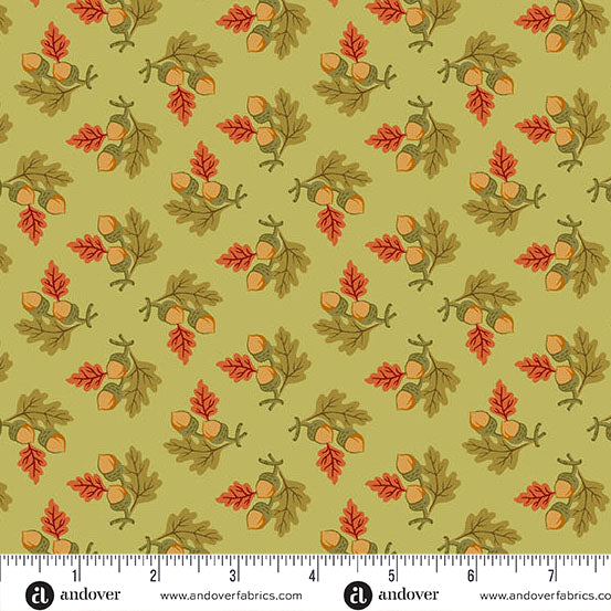 Andover Autumn Woods 1545 G Moss Gathered Acorns By The Yard