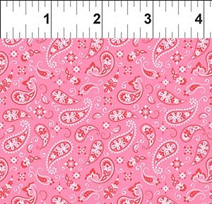 In The Beginning Go Cowgirl! 7GC 1 Pink Paisley By The Yard