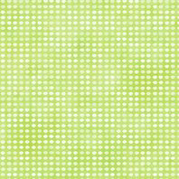 In The Beginning Dit Dot 8AH 23 Mint 1.5 YARDS