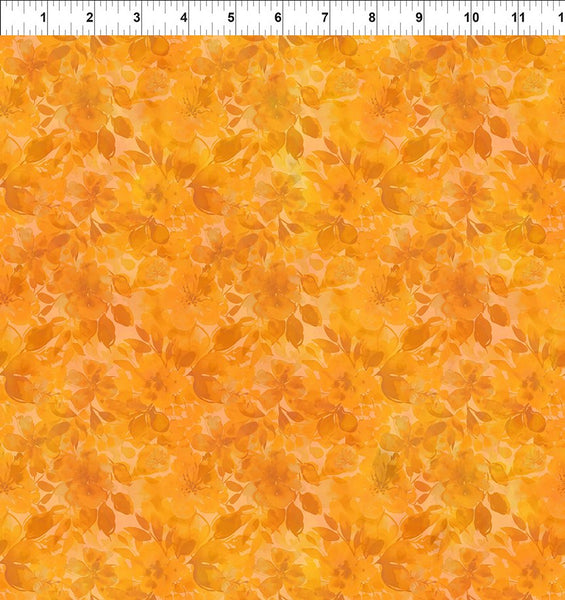 In The Beginning Blooming Day & Night 8BDN 1 Mango Blooms By The Yard