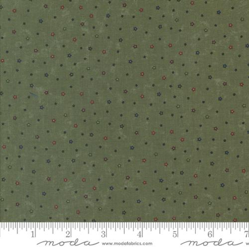 Moda -  Kansas Troubles Quilters - Daisy Lane 9769 15 Leaf By The Yard