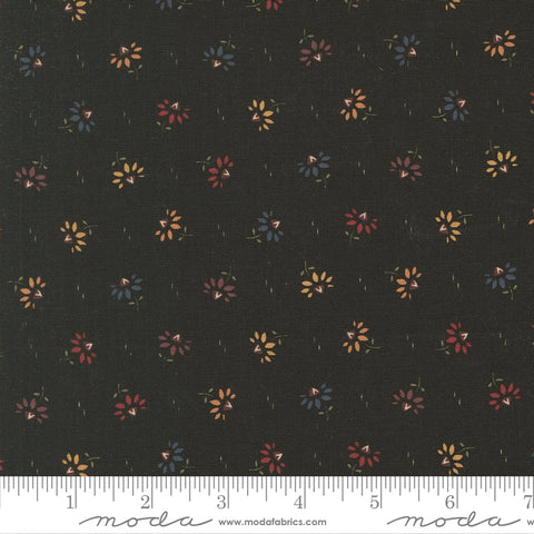 Moda Kansas Troubles - Wheatland 9793 19 Slate Coneflowers By The Yard