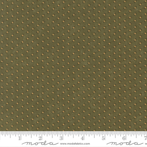 Moda Kansas Troubles - Wheatland 9798 15 Pine Wildflower Seeds By The Yard