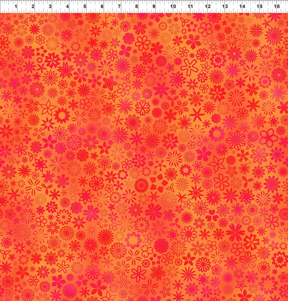 In The Beginning PAWsitivity 9PAW 1 Orange Field 2 YARDS