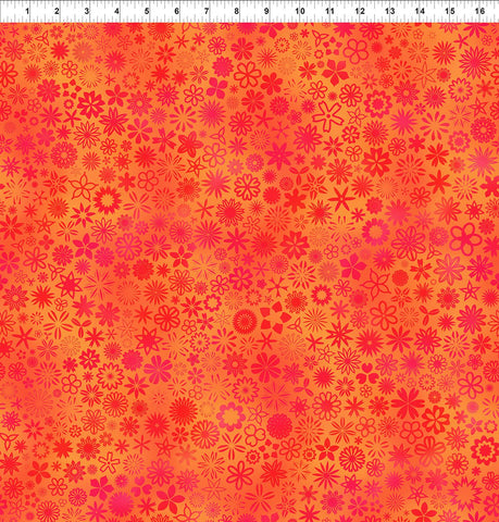 In The Beginning PAWsitivity 9PAW 1 Orange Field 2 YARDS