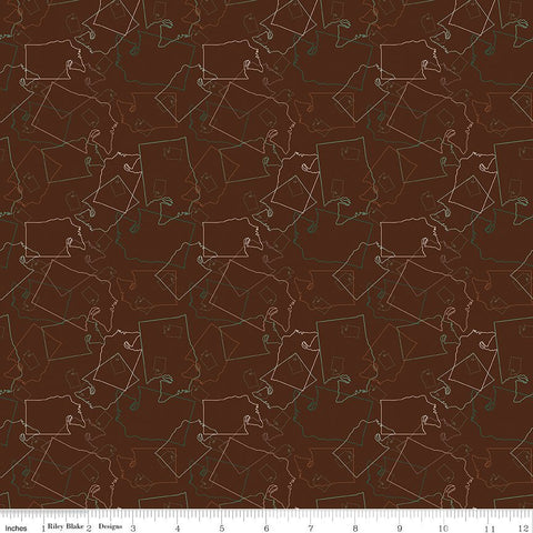 Riley Blake Washington My Home C16062 Brown Washington Map Toss By The Yard