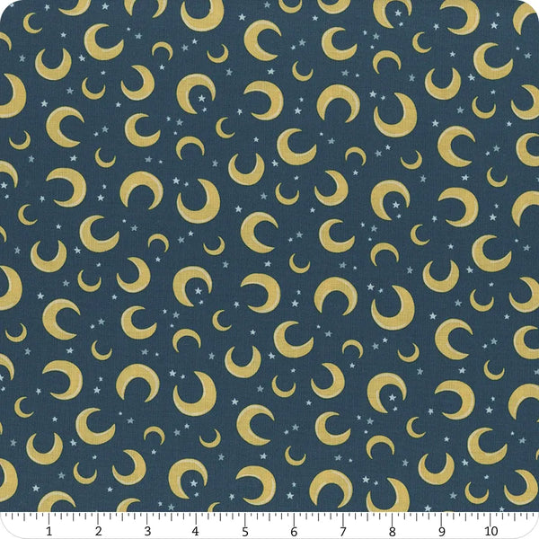 Riley Blake Baby Boy C16762 Oxford Moons By The Yard