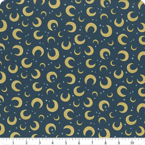 Riley Blake Baby Boy C16762 Oxford Moons By The Yard