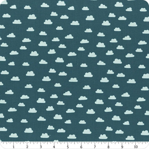 Riley Blake Baby Boy C16763 Oxford Clouds By The Yard