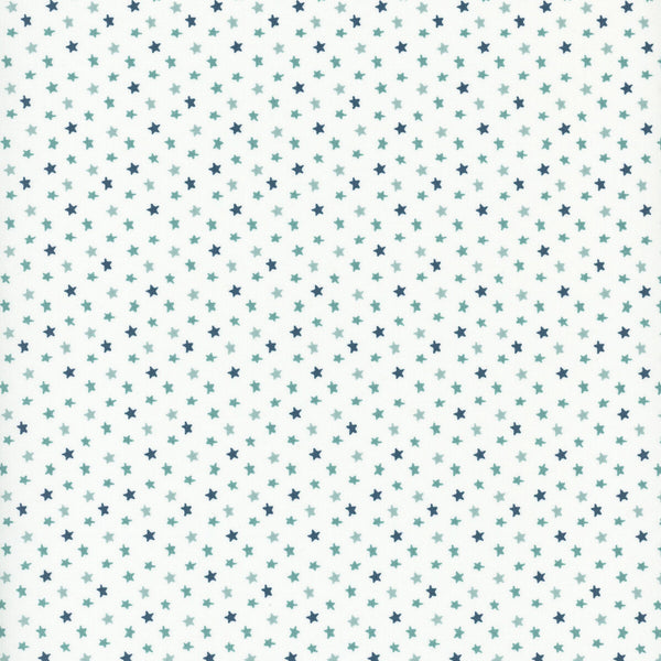 Riley Blake Baby Boy C16766 White Stars By The Yard