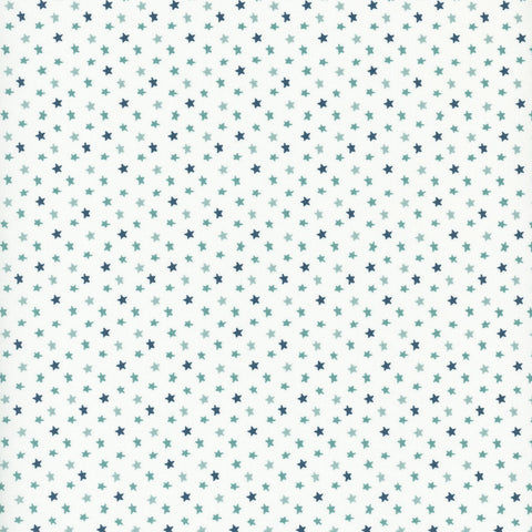 Riley Blake Baby Boy C16766 White Stars By The Yard