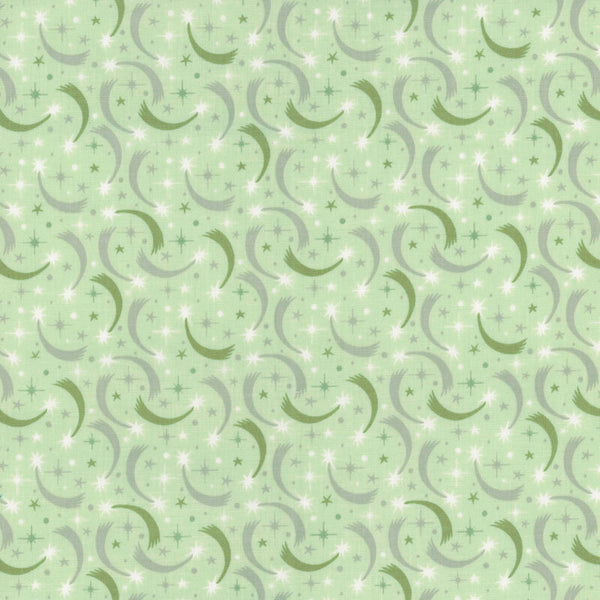 Riley Blake Baby Girl C16772 Mint Shooting Stars By The Yard