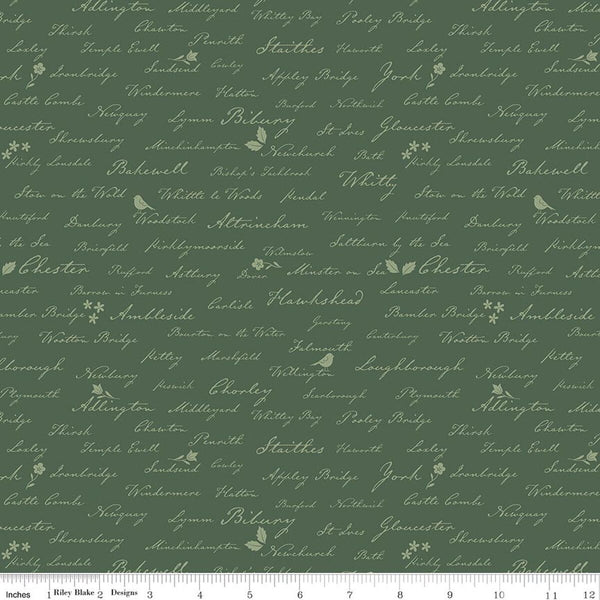 Riley Blake Ambleside C17116 Forest Town Names By The Yard
