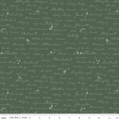 Riley Blake Ambleside C17116 Forest Town Names By The Yard