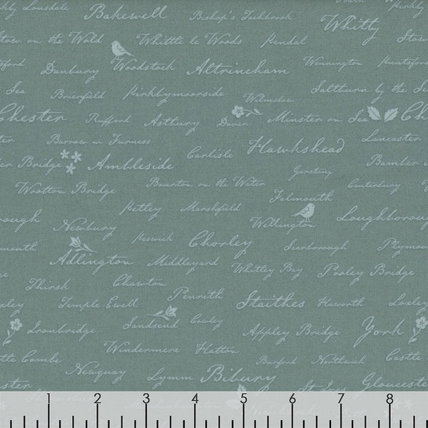 Riley Blake Ambleside C17116 Teal Town Names By The Yard